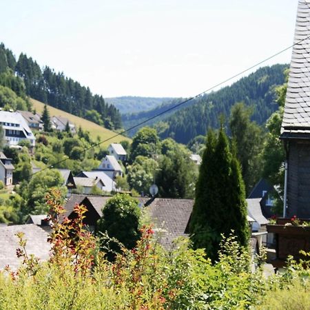 Large Holiday Home In Willingen With Private Garden And Several Terraces Luaran gambar