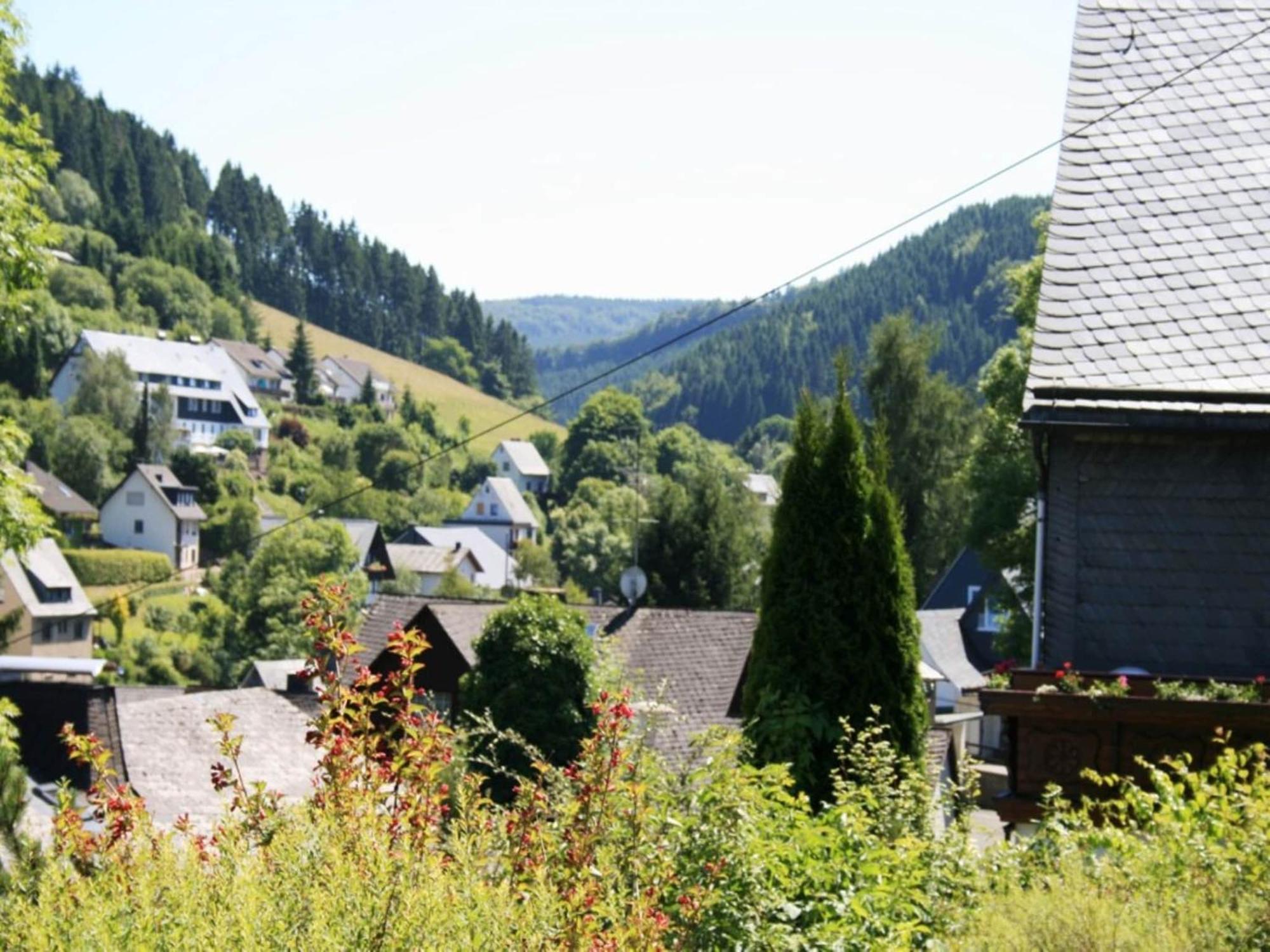 Large Holiday Home In Willingen With Private Garden And Several Terraces Luaran gambar