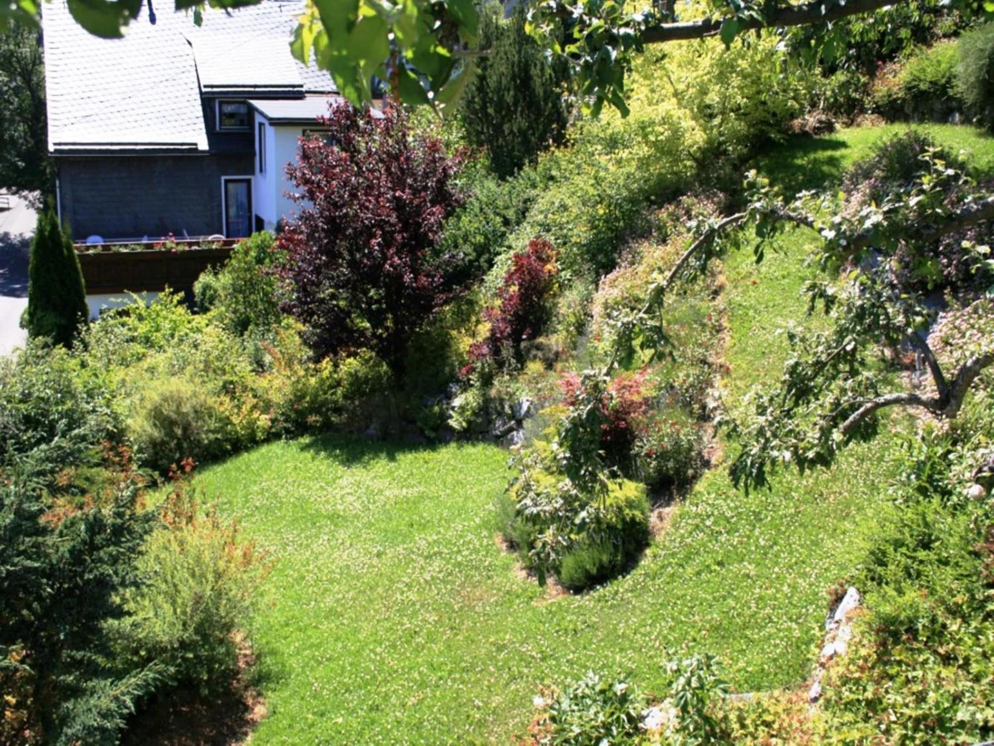 Large Holiday Home In Willingen With Private Garden And Several Terraces Luaran gambar