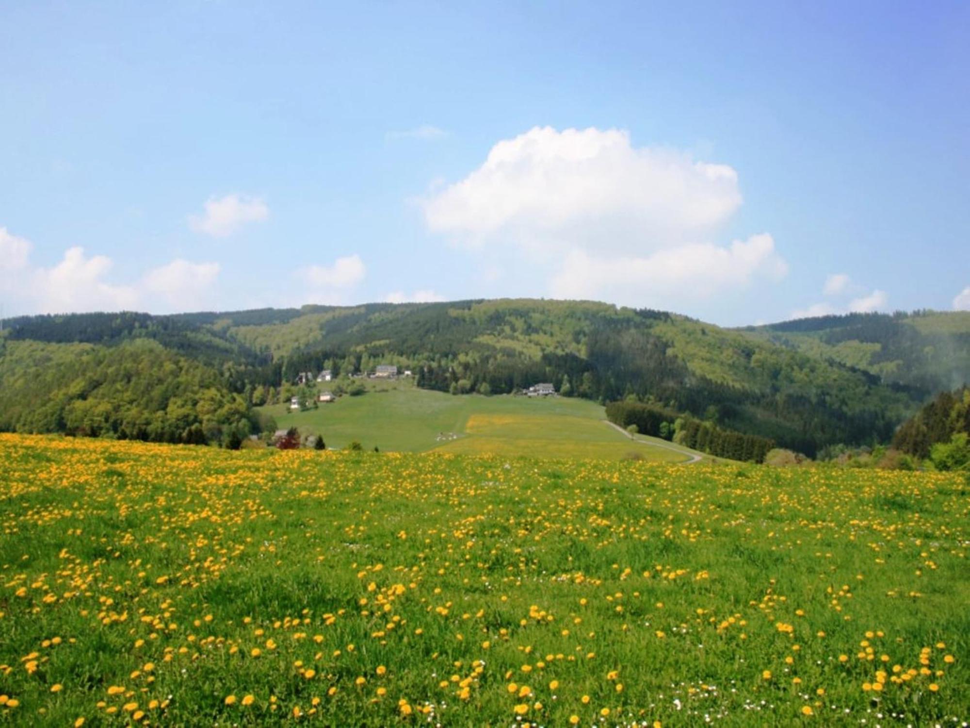 Large Holiday Home In Willingen With Private Garden And Several Terraces Luaran gambar