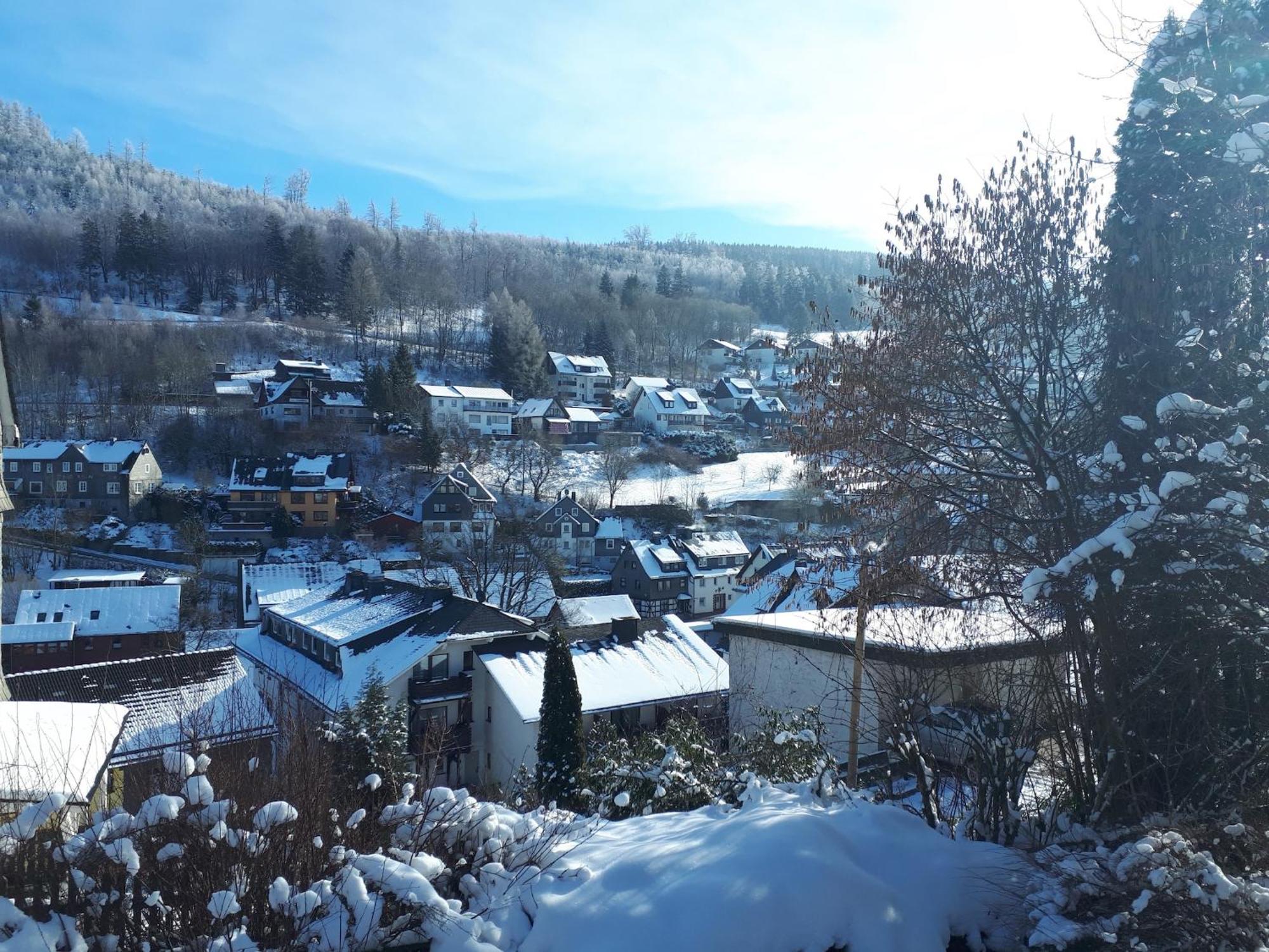 Large Holiday Home In Willingen With Private Garden And Several Terraces Luaran gambar